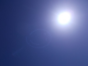 DSCN2366