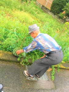 スイカ板橋