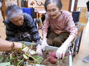 芋ほり福岡木下